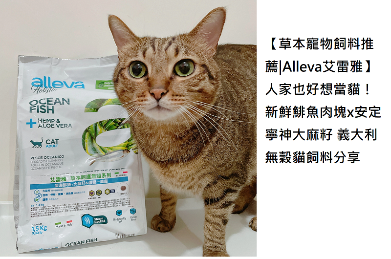 【草本寵物飼料推薦|Alleva艾雷雅】人家也好想當貓！新鮮鯡魚肉塊x安定寧神大麻籽 義大利無穀貓飼料分享