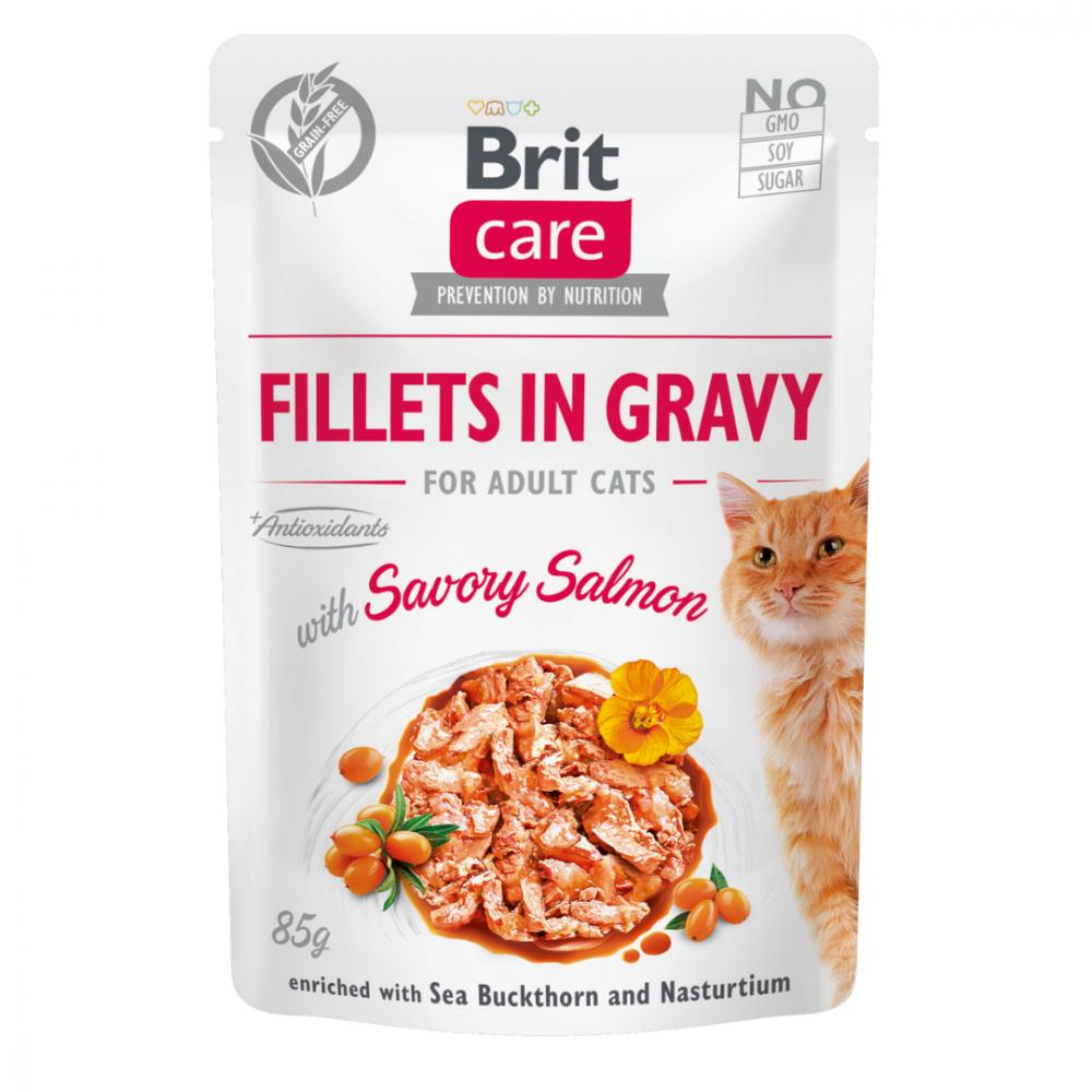 Brit咘莉-Care呵護貓咪餐包-多汁肉片-美味鮭魚 85克