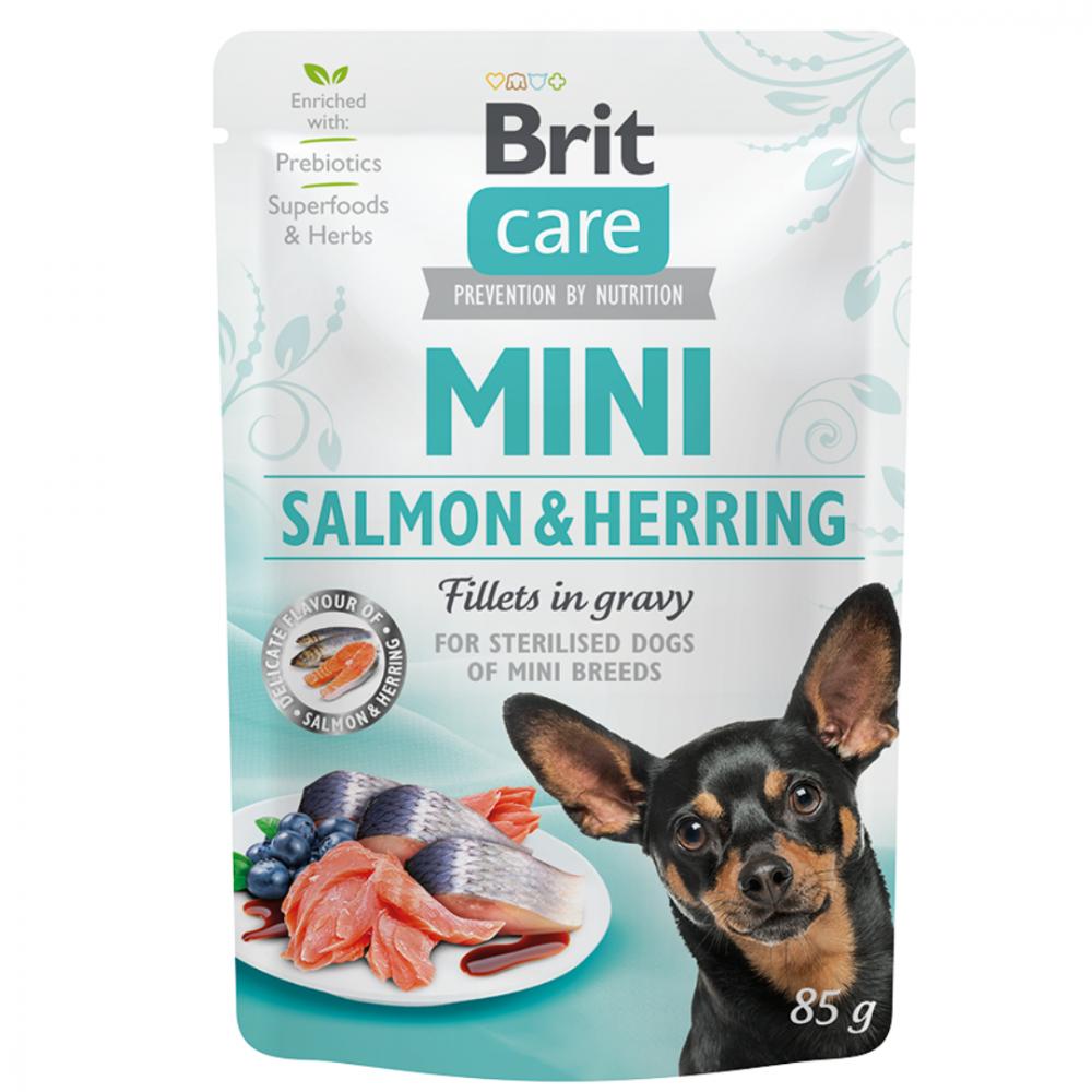 Brit咘莉-小型成犬餐包 肉汁鮭魚+鯡魚
