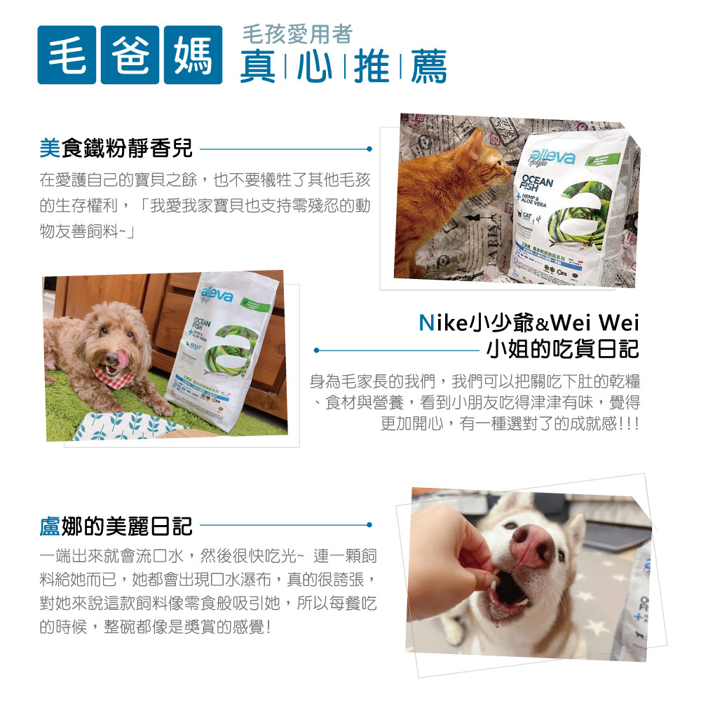 不讚對不起自己 部落客推薦