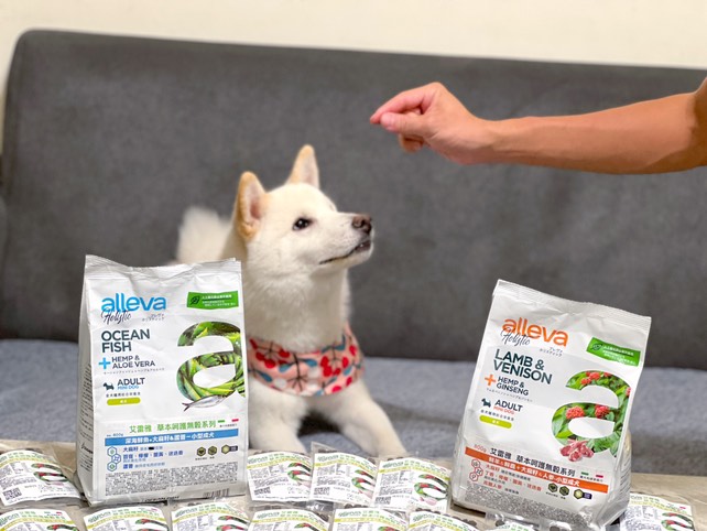 有請雪球弟來開箱艾雷雅天然草本無榖犬糧