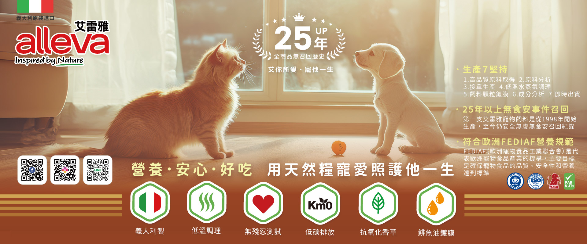 艾雷雅．艾你所愛 寵他一生