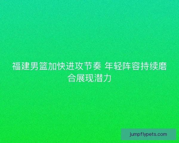 福建男篮加快进攻节奏 年轻阵容持续磨合展现潜力