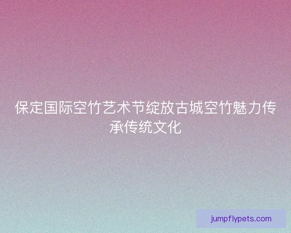 保定国际空竹艺术节绽放古城空竹魅力传承传统文化