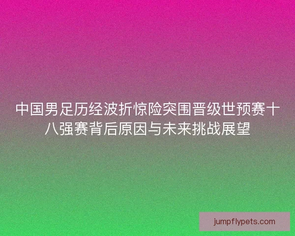 中国男足历经波折惊险突围晋级世预赛十八强赛背后原因与未来挑战展望