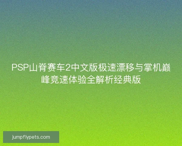 PSP山脊赛车2中文版极速漂移与掌机巅峰竞速体验全解析经典版